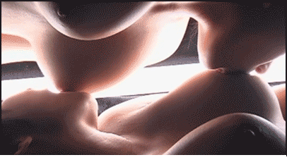 2girls 69 animated asian breast_sucking breasts female gif japanese large_breasts lesbian lowres multiple_girls photo source_request yuri