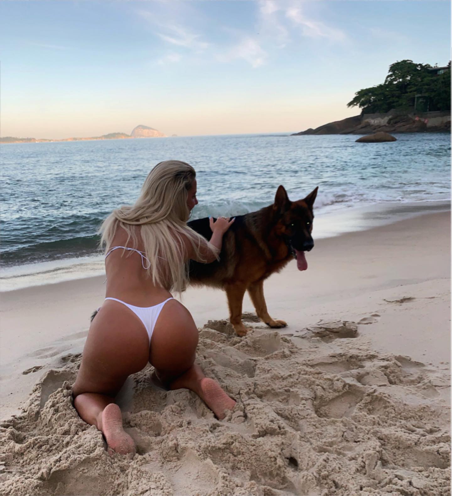 Doggy style beach