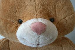animated gif human photo real_person sex stuffed_animal teddy_bear