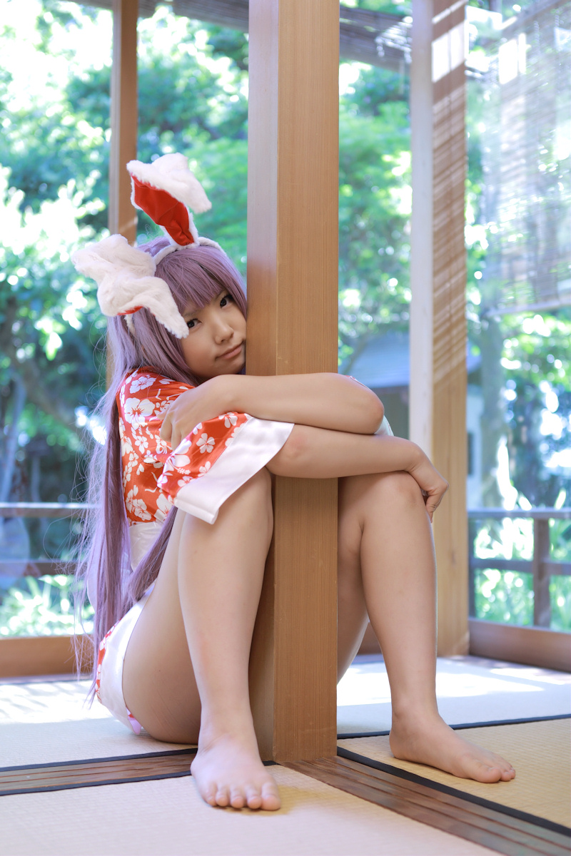 animal_ears asian breasts cosplay enako female long_hair purple_hair solo