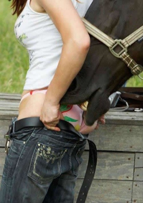 female horse outdoor panties pants photo