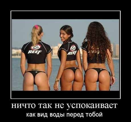 ass female motivation multiple_girls russian tagme text translation_request