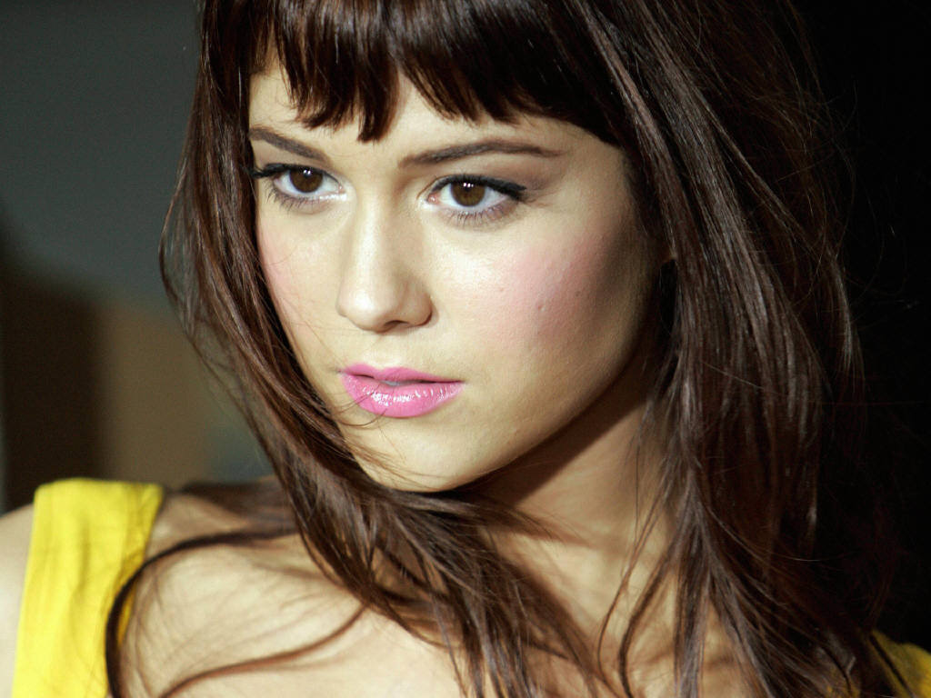 brown_eyes brown_hair celebrity female mary_elizabeth_winstead solo