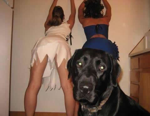 2girls bent_over dog female female_only tagme