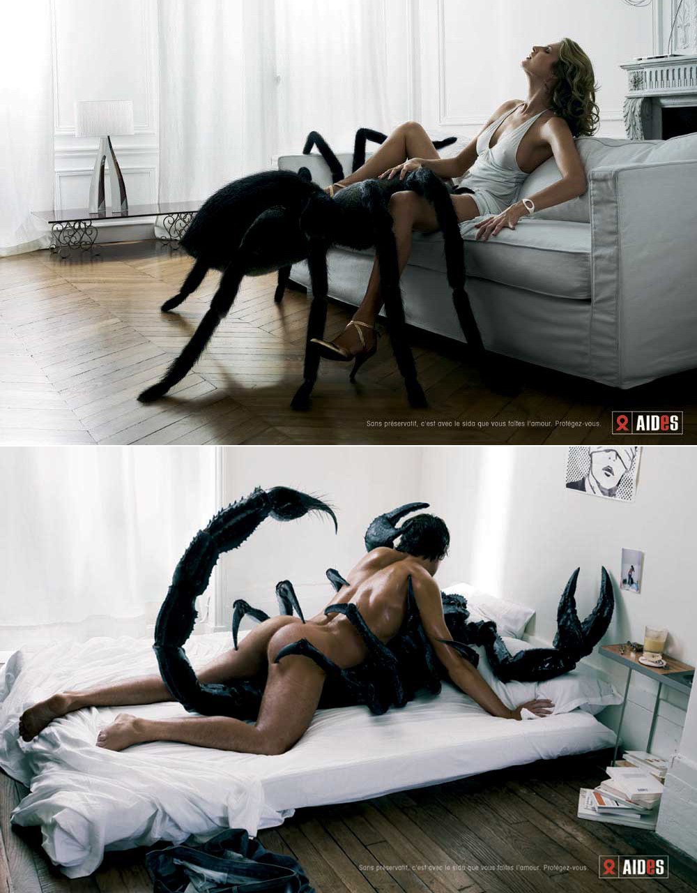 aids animals ass fellatio female male scorpion sex spider tagme