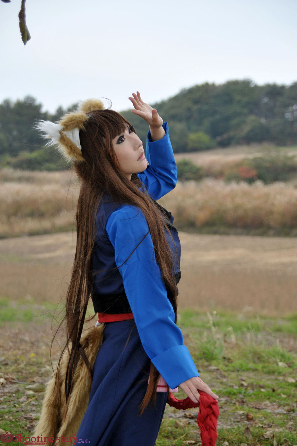 1girl animal_ears asian breasts brown_hair cosplay female holo japanese long_hair outside shooting_star solo spice_and_wolf watermark wolf_ears