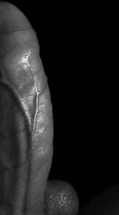 1boy black_and_white black_background closeup foreskin male monochrome penis solo tagme testicles veiny_penis