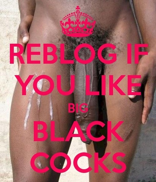 1boy dark-skinned_male dark_skin male penis solo text tumblr