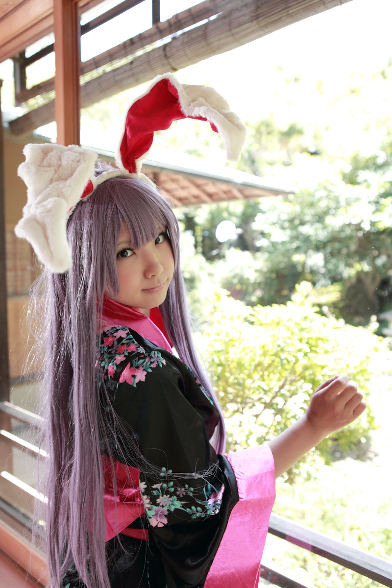 animal_ears asian breasts cosplay enako female long_hair purple_hair solo