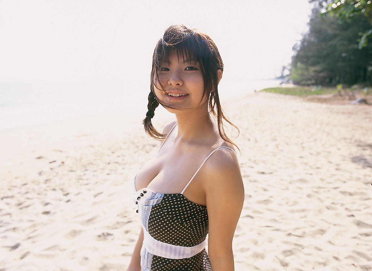 asian brown_hair cleavage dress japanese japanese_(nationality) large_breasts milf miri_hanai smile