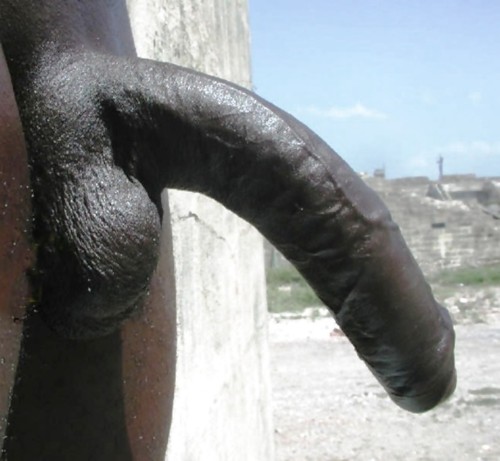 dark-skinned_male dark_skin male male_only penis solo