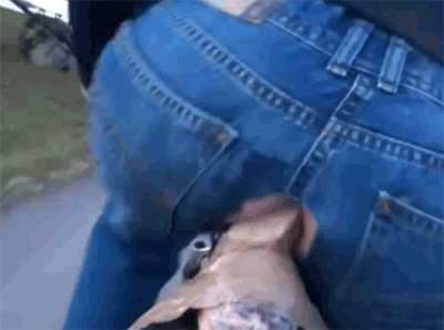 animated bicycle dildo gif jeans public riding