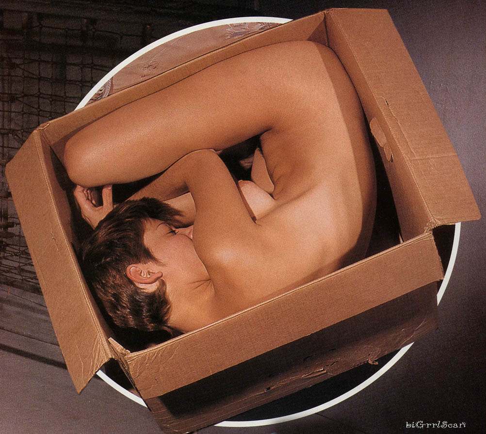 1girl ass back box breasts brown_hair cardboard_box flexible girl_in_a_box nipples nude short_hair text what