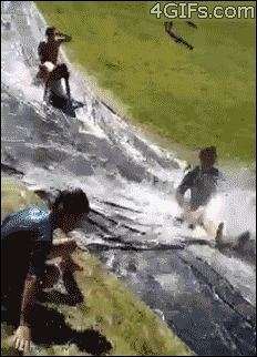 doggy_position gif lowres photo public waterslide