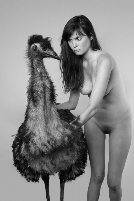 animal bird breasts emu female nipples