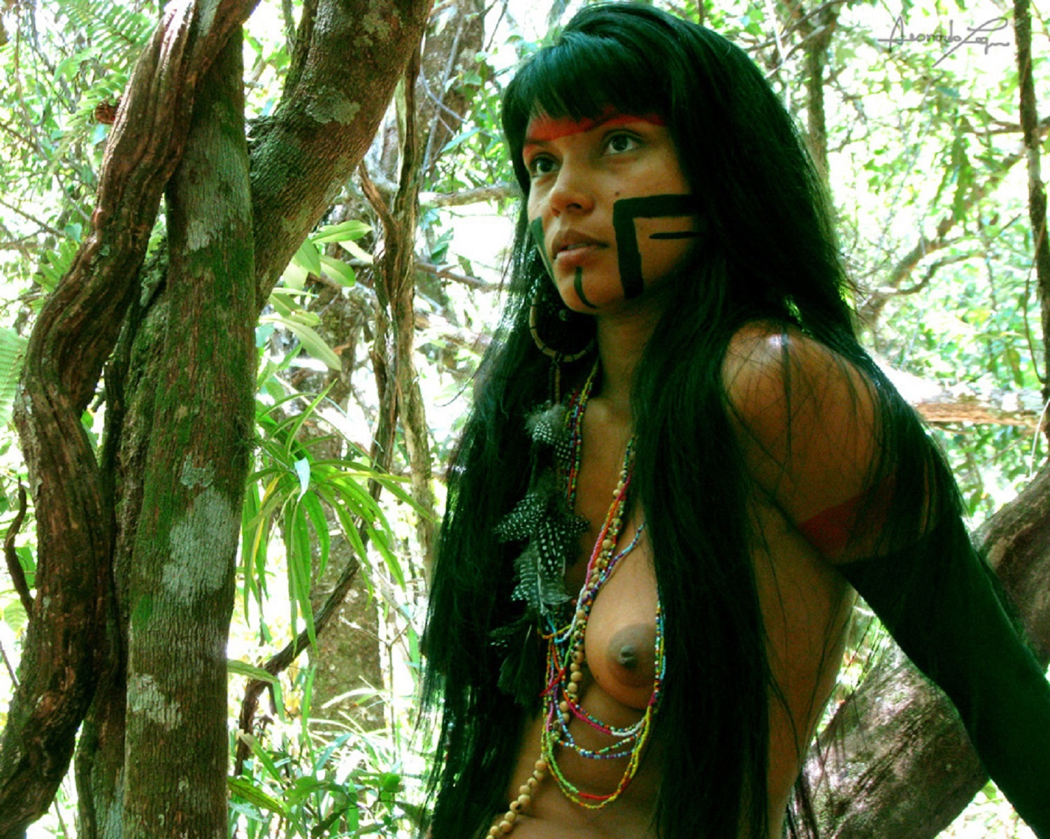 breast photo tribal