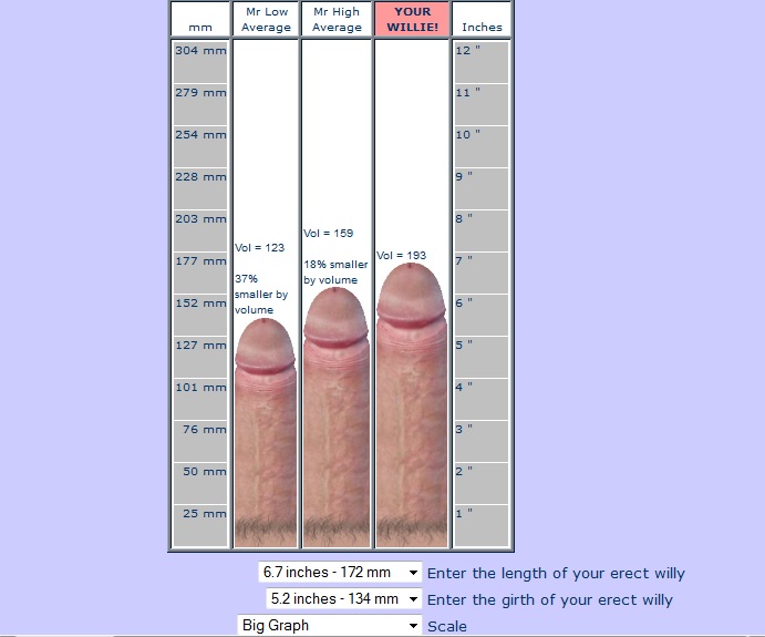 male penis penis_size tagme text