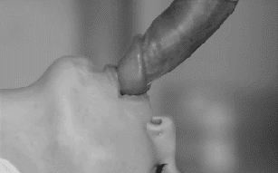 1boy 1girl animated closeup fellatio gif licking_lips lowres monochrome oral penis testicles tongue