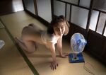 1girl all_fours asian asian_female ass bent_over bob_cut breasts breasts_out brown_hair clothed electric_fan female female_only hanging_breasts japanese japanese_female jav kneeling medium_breasts nipples on_floor panties panties_down photo shirt shirt_lift shishido_riho short_hair solo straight_hair tatami_mat